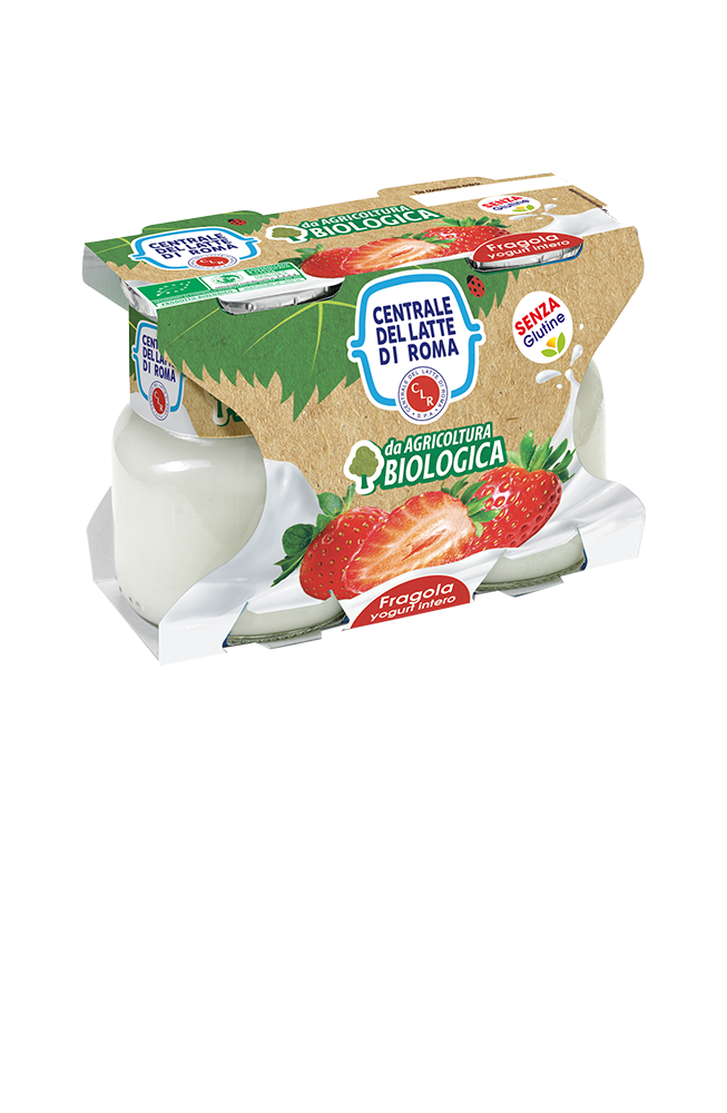 Yogurt Bio frutta